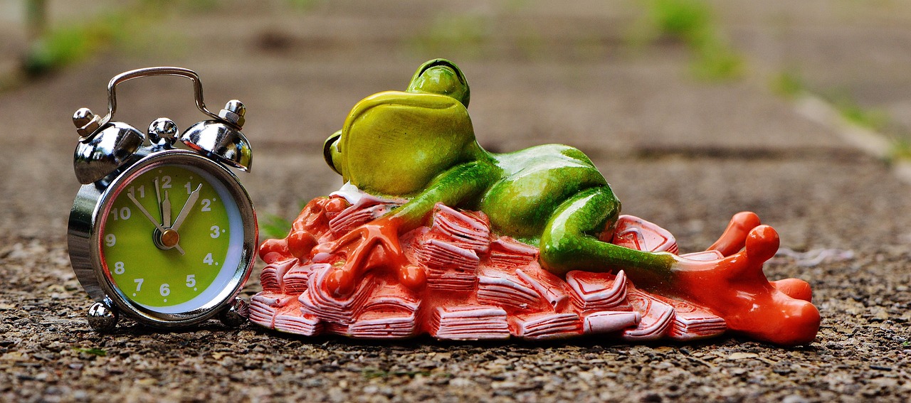 Image of time is money, money calms down, sleep, nature, heaps of money, frog, figure, fun, cute, decoration, green, animal