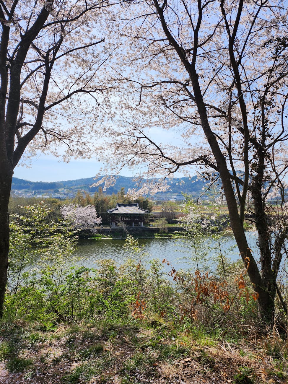 广州